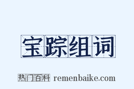 宝踪组词是什么意思的图片